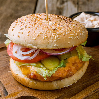 Hambuguer xtudo